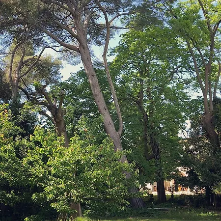 Сasa de vacaciones Oasis De Verdure Avec Piscine A Montpellier