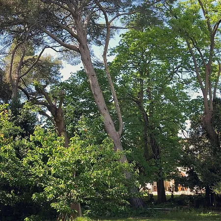 Oasis De Verdure Avec Piscine A Сasa de vacaciones